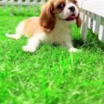WhatsApp-Video-2025-06-17-at-12_frame_0_28_10f-400x711